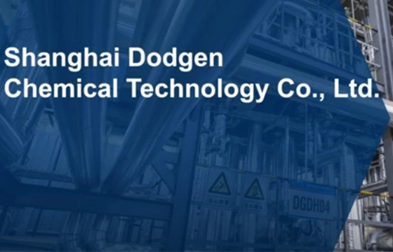 DODGEN Company Introduction