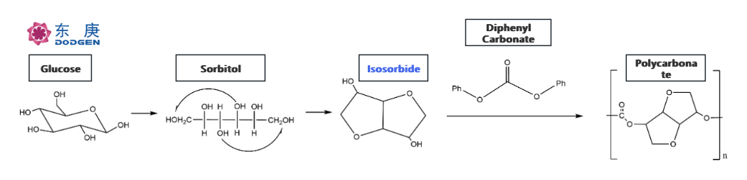 Technological pathway for synthesizing polycarbonate from glucose