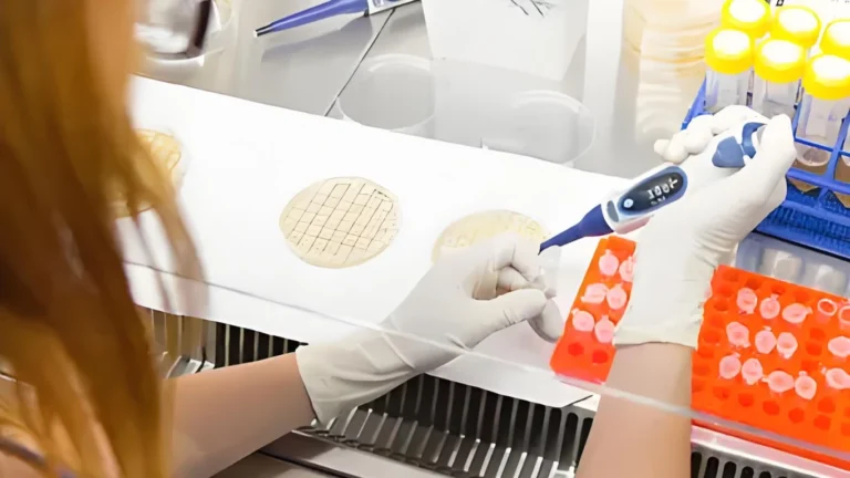 Synthetic Biology Industrial Accelerator: Accelerating New Manufacturing Methods