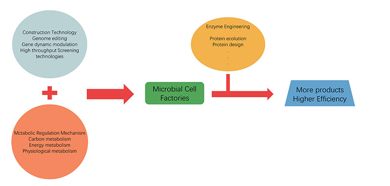 Biosynthetic Industrialization Accelerator, Accelerating New Manufacturing Methods