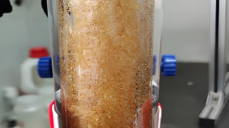 Why Do We Value Laboratory-Scale Data? Because It Reveals Whether a Process Has Real Potential