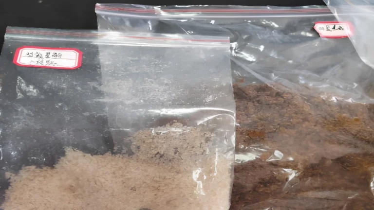 Understanding Melt Crystallization: It All Begins with the Crystalline State