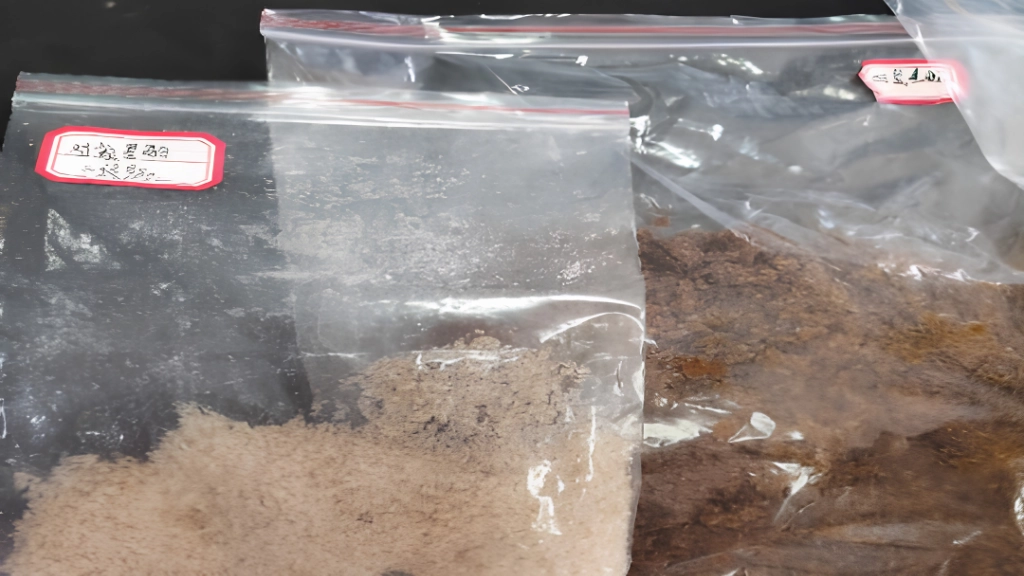 Understanding Melt Crystallization: It All Begins with the Crystalline State