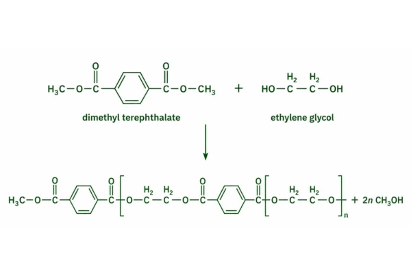 Condensation Polymerization