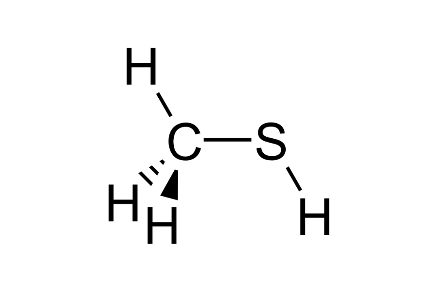 Methyl Mercaptan