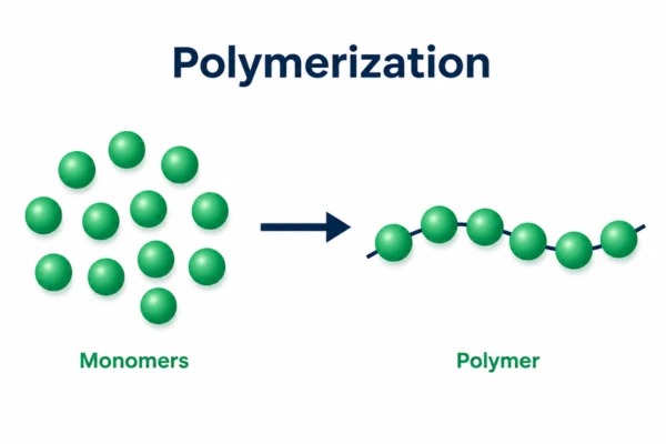 Polymerization