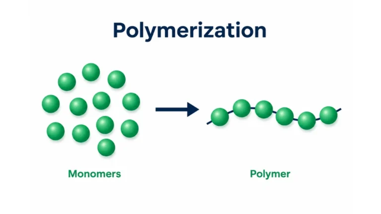 What Is Polymerization
