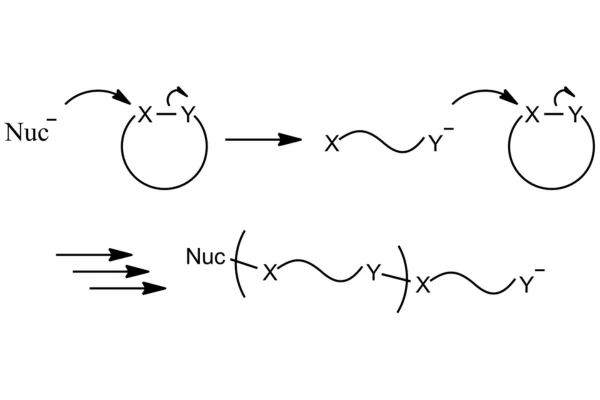 Ring-Opening Polymerization