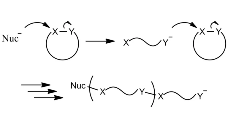 What Is Ring-Opening Polymerization