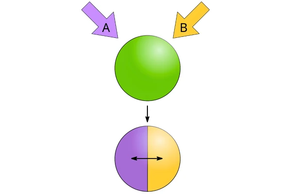 Phase Separation in Chemical Processing