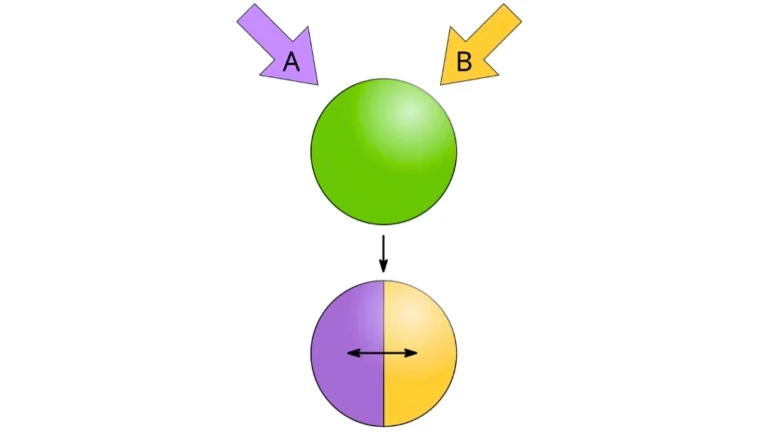 What Is Phase Separation in Chemical Processing?